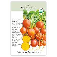 Beet 'Touchdown Gold'