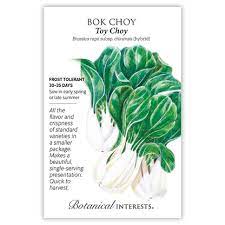 Bok Choy 'Toy Choy'