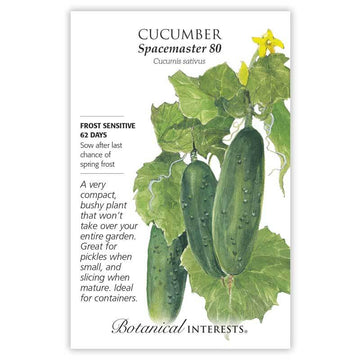 Cucumber 'Spacemaster 80'