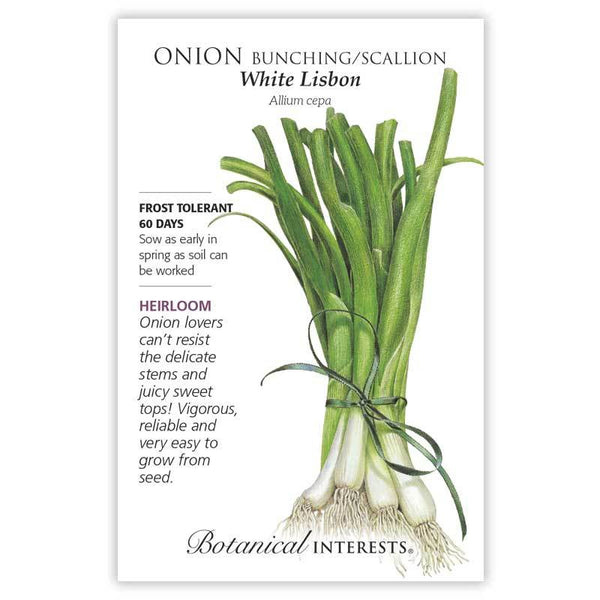 Onion 'White Lisbon Bunching/Scallion'