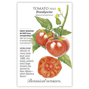 Tomato Pole 'Brandywine'