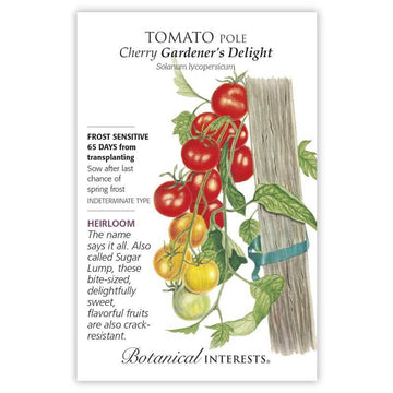Tomato Pole Cherry 'Gardener's Delight'