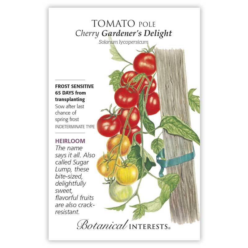 Tomato Pole Cherry 'Gardener's Delight' | Pesches Flowers & Garden