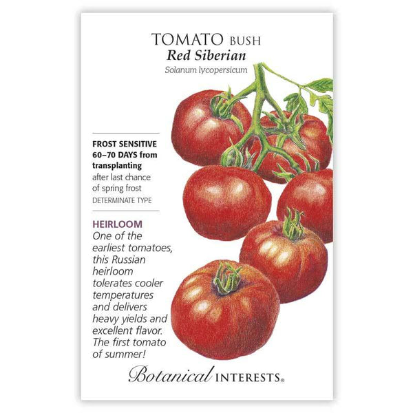 Tomato Bush 'Red Siberian'
