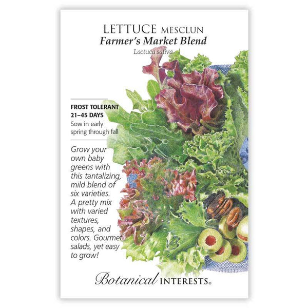 Lettuce 'Farmer's Market Blend Mesclun'