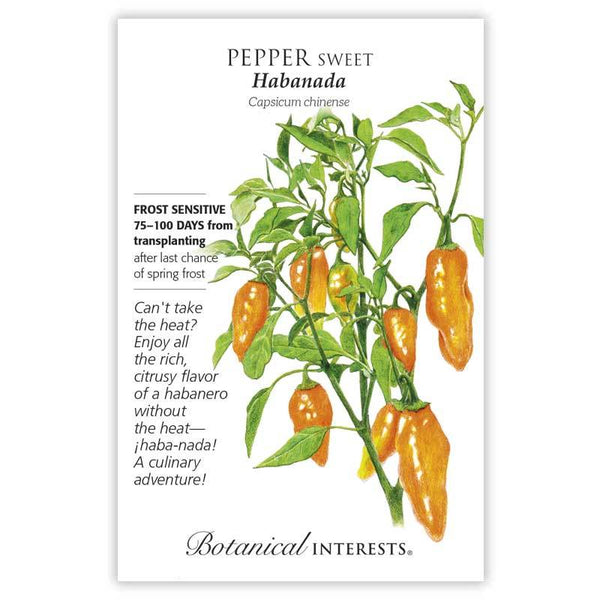 Pepper Sweet 'Habanada'