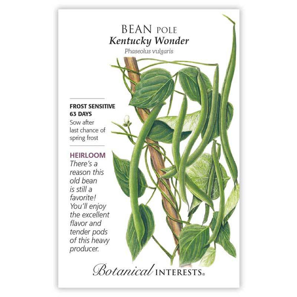 Bean Pole 'Kentucky Wonder'