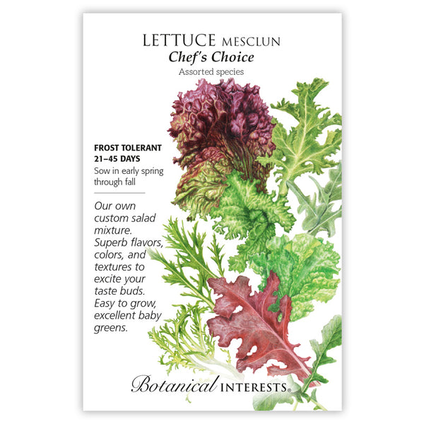 Lettuce 'Chef's Choice Mesclun'