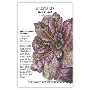Mustard 'Red Giant'