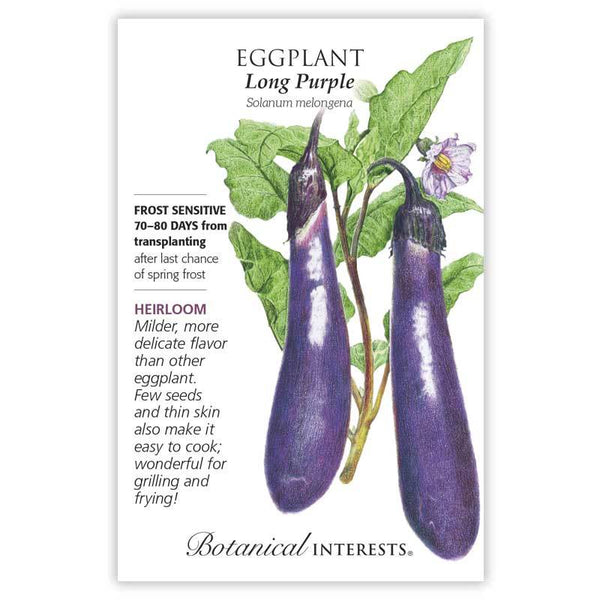 Eggplant 'Long Purple'