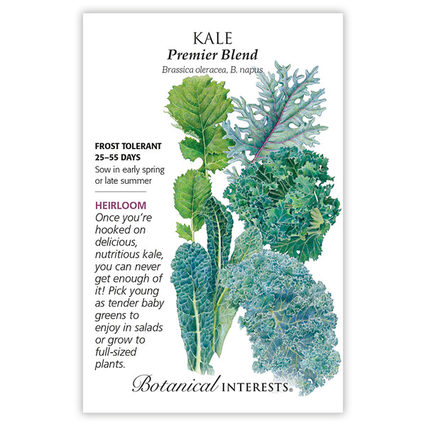 Kale 'Premier Blend'