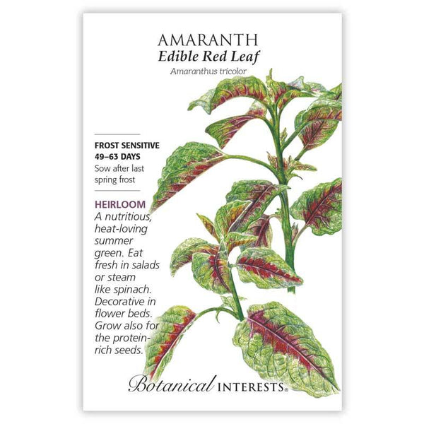 Amaranth 'Edible Red Leaf'