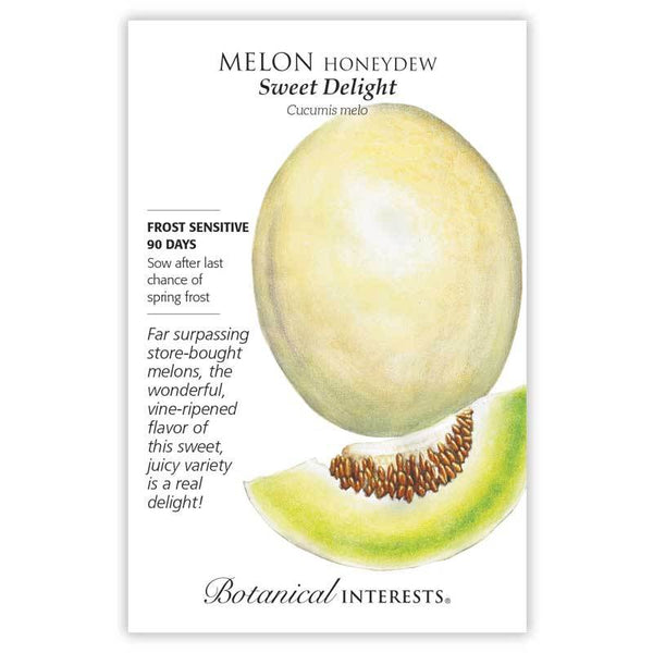 Melon 'Sweet Delight Honeydew'