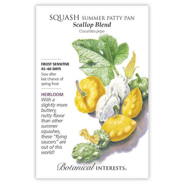 Squash Summer 'Scallop Blend (Patty Pan)'