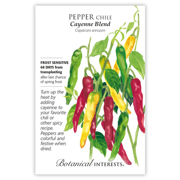 Pepper Chile 'Cayenne Blend'