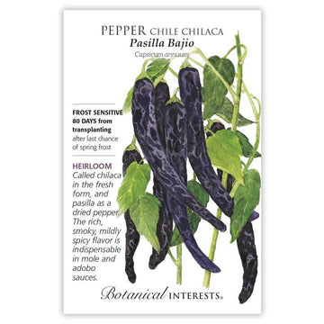 Pepper Chile 'Pasilla Bajio Chilaca'