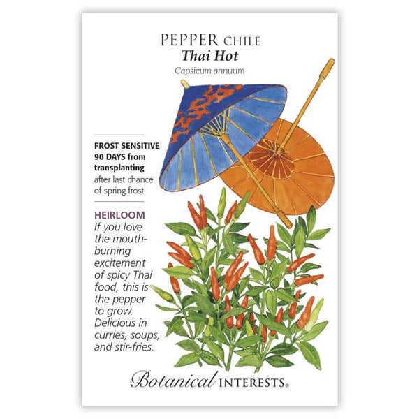 Pepper Chile 'Thai Hot'