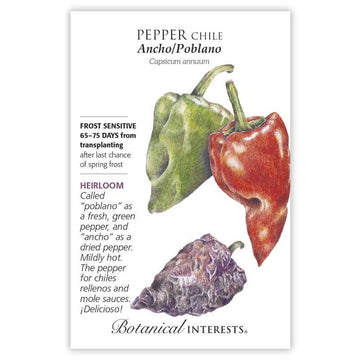 Pepper Chile 'Ancho/Poblano'