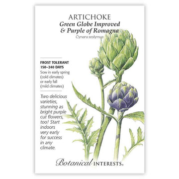 Artichoke 'Green Globe & Purple of Romagna'