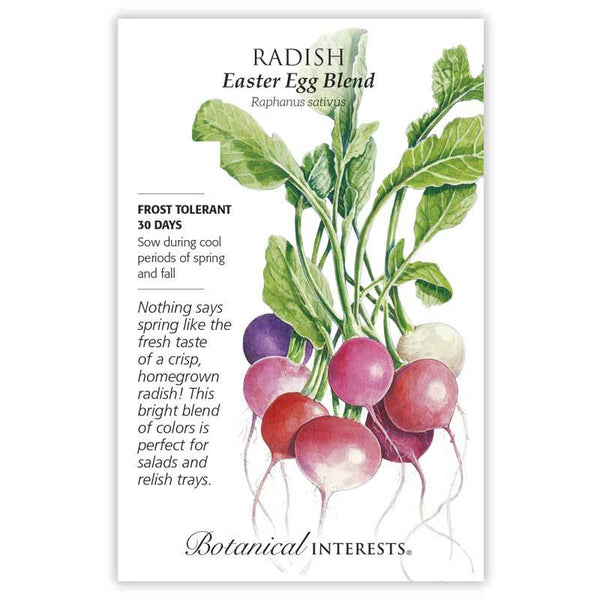 Radish 'Easter Egg Blend'