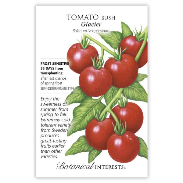 Tomato Bush 'Glacier'