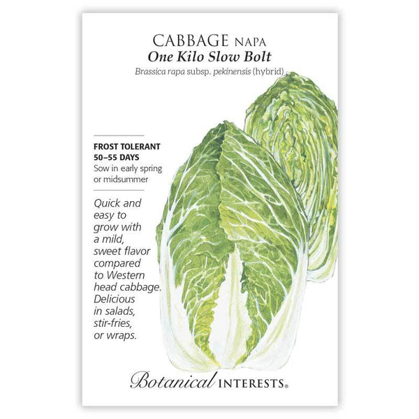 Cabbage 'One Kilo Slow Bolt Napa'