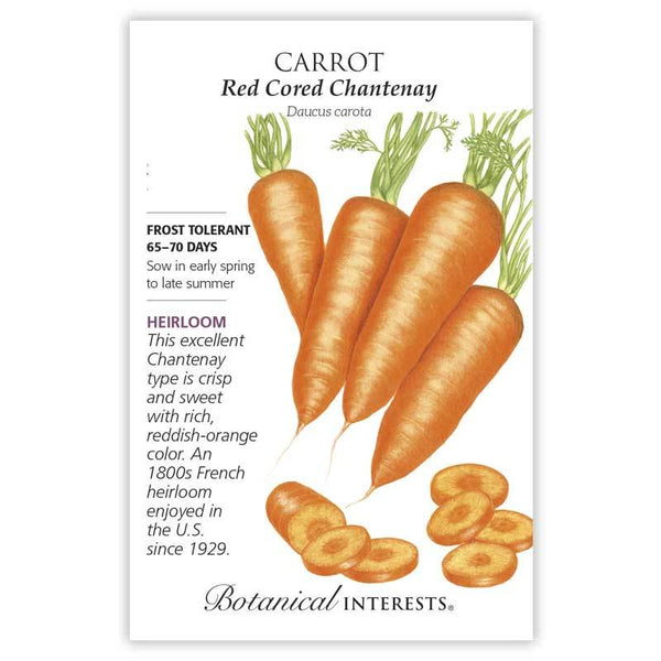 Carrot 'Red Cored Chantenay'