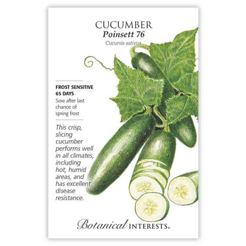 Cucumber 'Poinsett 76'