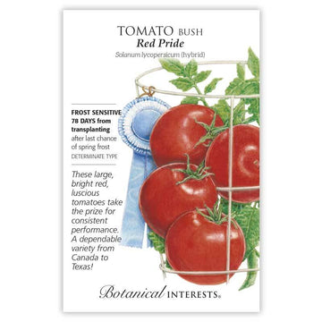 Tomato Bush 'Red Pride'