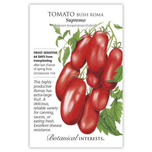 Tomato Bush 'Supremo Roma'
