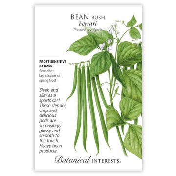 Bean Bush 'Ferrari'