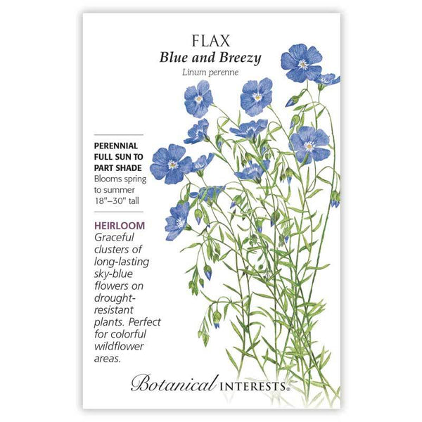 Flax 'Blue and Breezy'