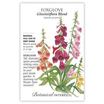 Foxglove 'Gloxiniiflora Blend'