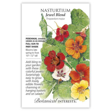 Nasturtium 'Jewel Blend'