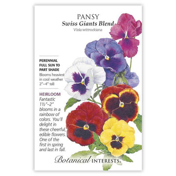 Pansy 'Swiss Giants Blend'