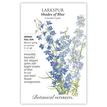 Larkspur 'Shades of Blue'