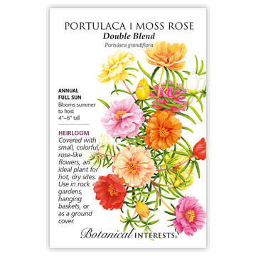 Portulaca / Moss Rose 'Double Blend'