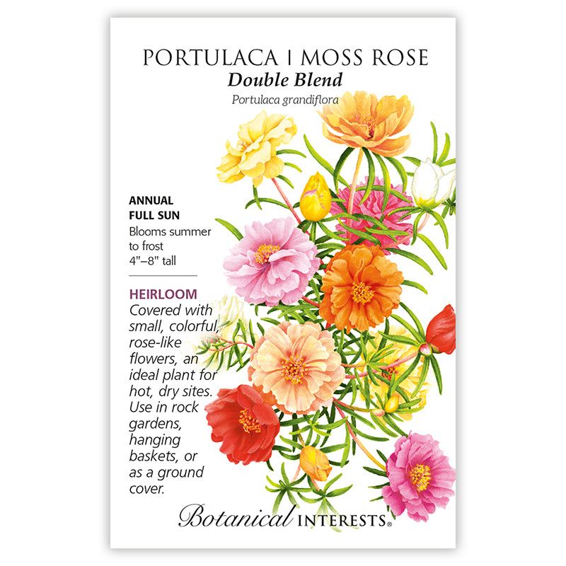 grow moss rose from seeds Portulaca / Moss Rose 'Double Blend'