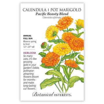 Calendula 'Pacific Beauty Blend'
