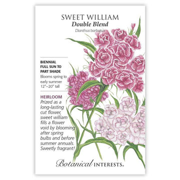 Sweet William 'Double Blend'