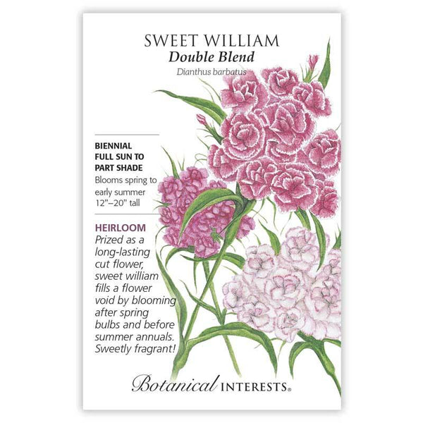 Sweet William 'Double Blend'