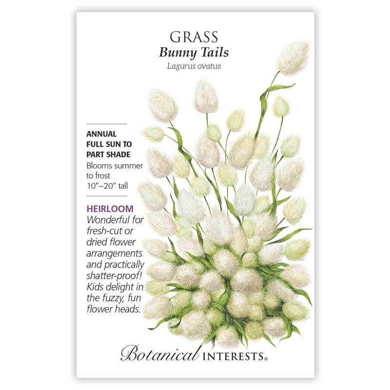 Bunny Tail Grass
