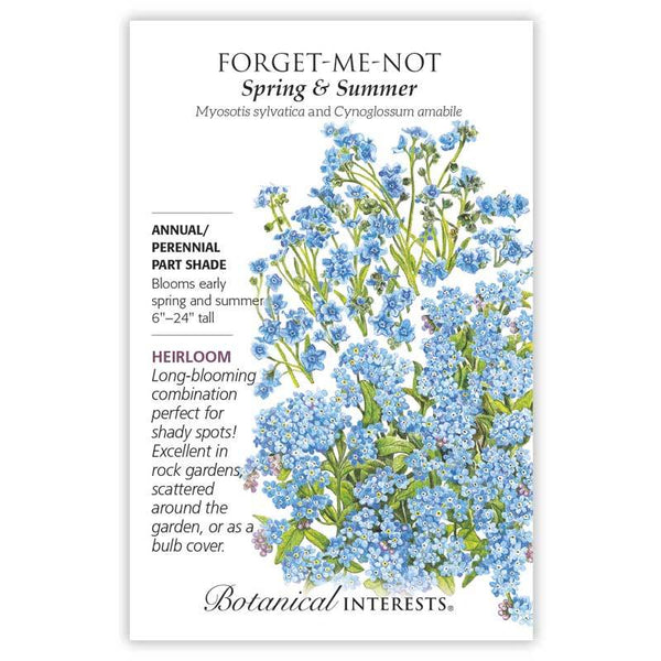 Forget-Me-Not 'Spring and Summer'