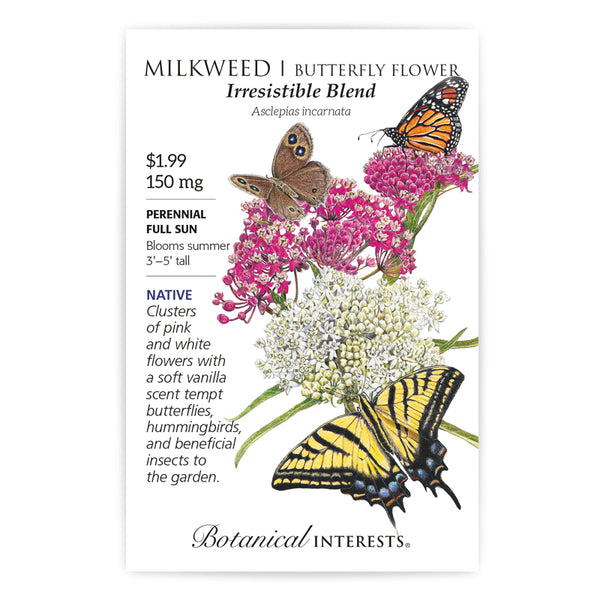 Milkweed 'Irresistible Blend/Butterfly Flower'