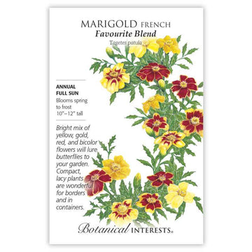 Marigold French 'Favourite Blend'
