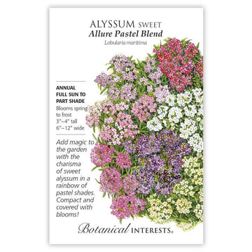 Alyssum 'Allure Pastel Blend'