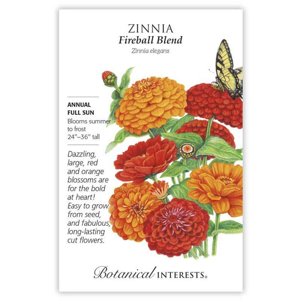 Zinnia 'Fireball Blend'