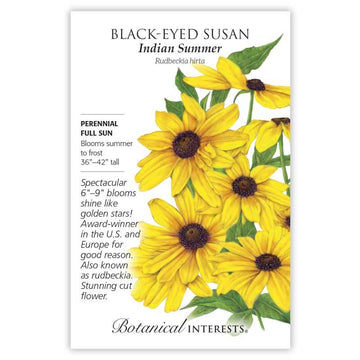 Black-Eyed Susan 'Indian Summer'