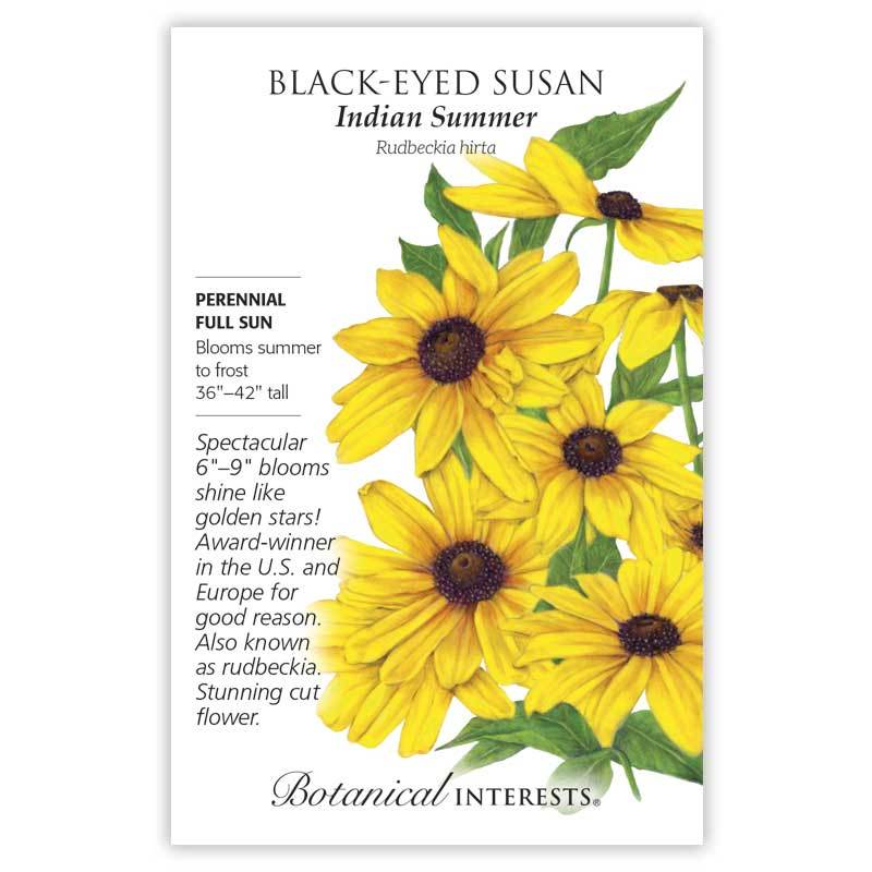 black eyed susan flower seeds Black-Eyed Susan 'Indian Summer'