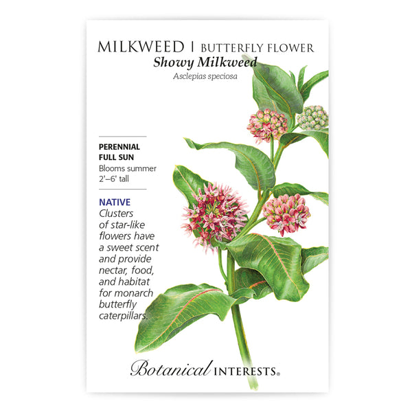 Milkweed 'Showy/Butterfly Flower'